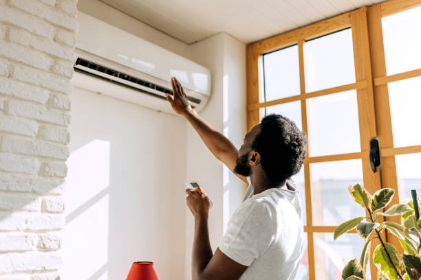 Best Ductless Mini-Split Systems in Pine Mountain Clu, CA